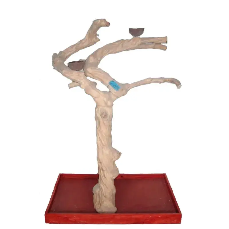 Dernière Chance Arbre en Bois de Java – Taille Large – BL6156