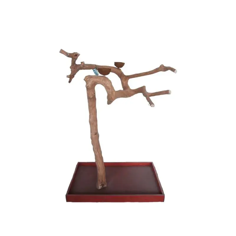 Dernier Modèle Arbre en Bois de Java – Taille Large – BL6765