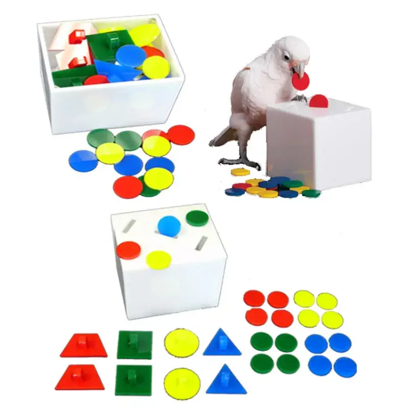 Zoo-Max – Boîte du Prof et Banque Medium – Jouet Perroquet Certifié
