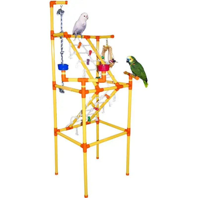 Réduction Zoo-Max – Super Play Gym en PVC – Parc de Jeu pour Perroquet