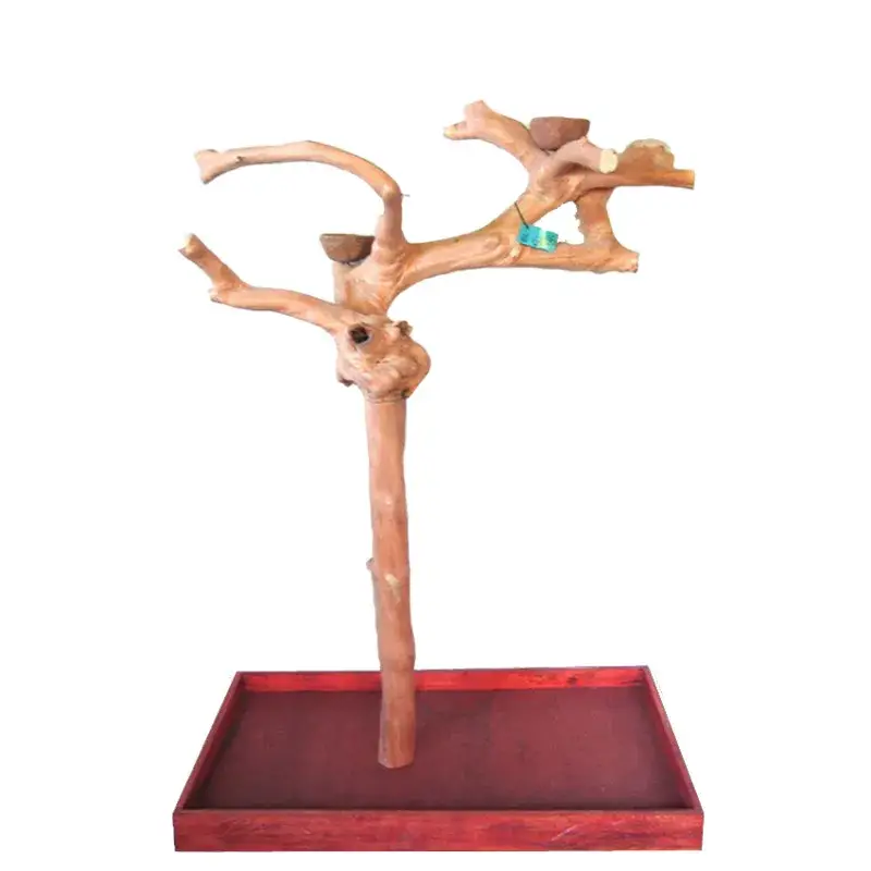Arbre en Bois de Java – Taille Large – BL6466 Super Prix