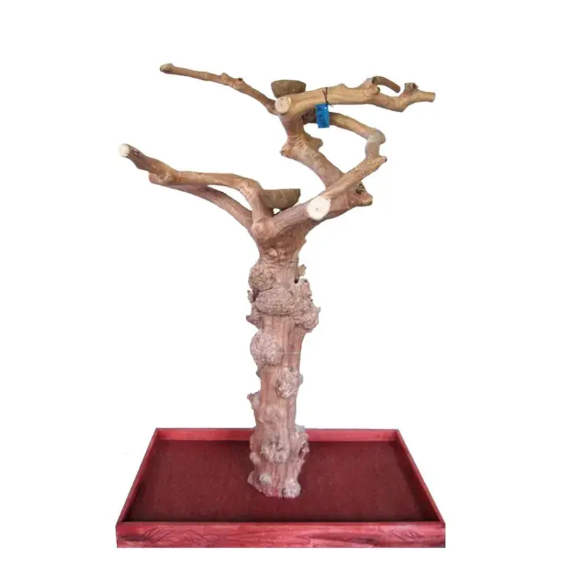 Arbre en Bois de Java – Taille Large – BL6396 Quantité Limitée