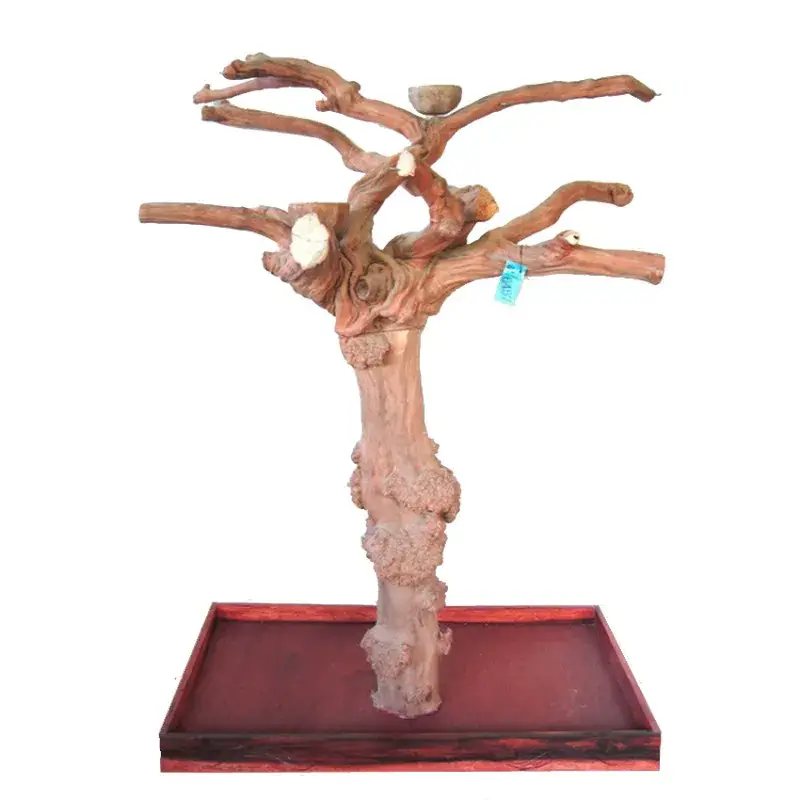 Meilleur Choix Arbre en Bois de Java – Taille Large – BL6457
