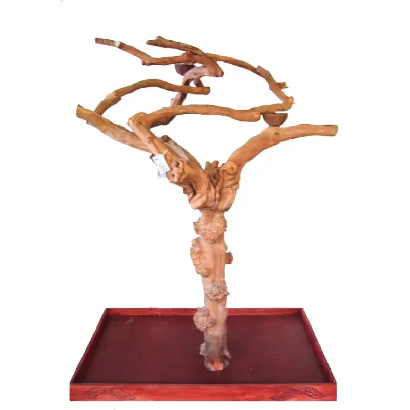 Acheter Direct Arbre en Bois Java – Taille Extra Large – AL3352