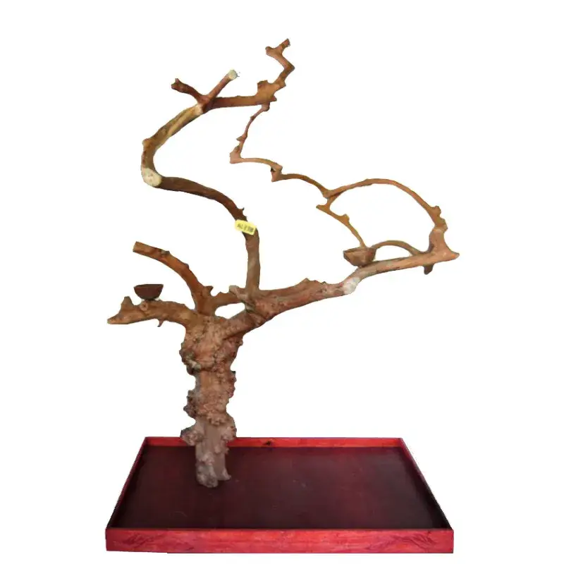 Arbre en Bois Java – Taille Extra Large – AL3358 Marque