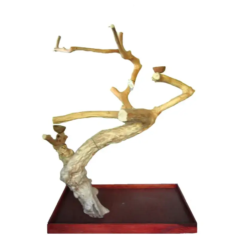 Arbre en Bois Java – Taille Extra Large – AL3404 Satisfait Ou Remboursé