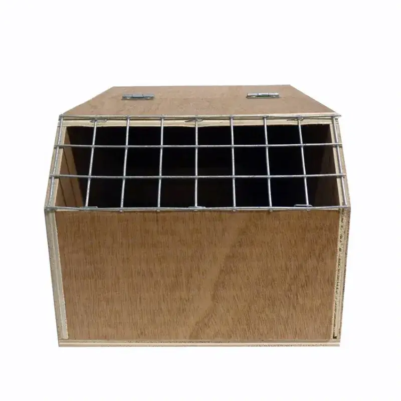 Prix Cassé Boite de Transport en Bois – Sabot pour Grande Perruche ou Petit Perroquet