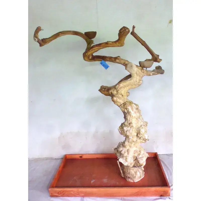 Arbre en Bois de Java – Taille Large – BL6914 Offre Limitée
