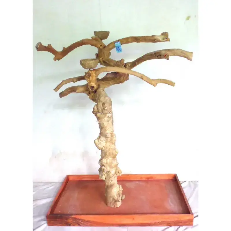 Arbre en Bois de Java – Taille Large – BL6917 Petit Prix