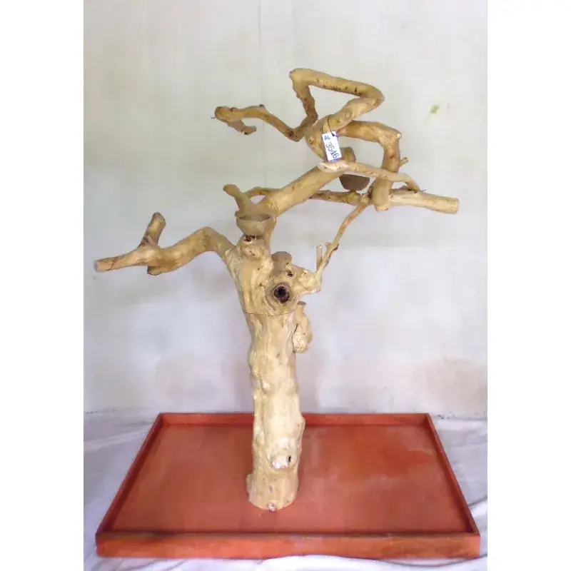 Arbre en Bois Java – Taille Extra Large – AL3546 Bon Plan