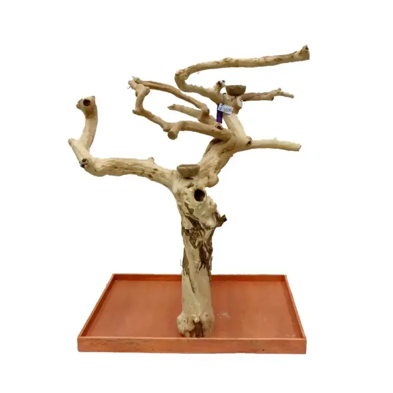 Meilleure Vente Arbre en Bois Java – Taille Extra Large – AL3596