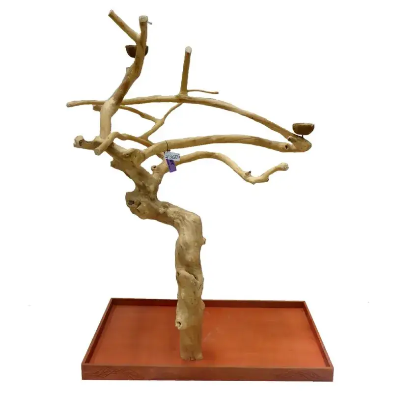 Expédition Rapide Arbre en Bois Java – Taille Extra Large – AL3606