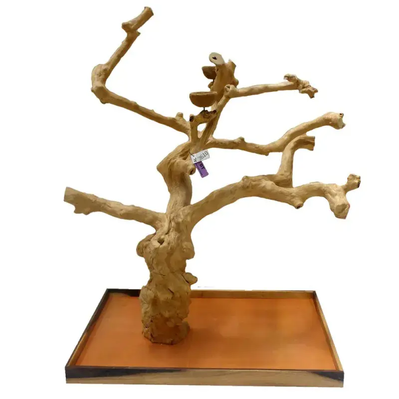 Petit Prix Arbre en Bois Java – Taille Extra Large – AL3610