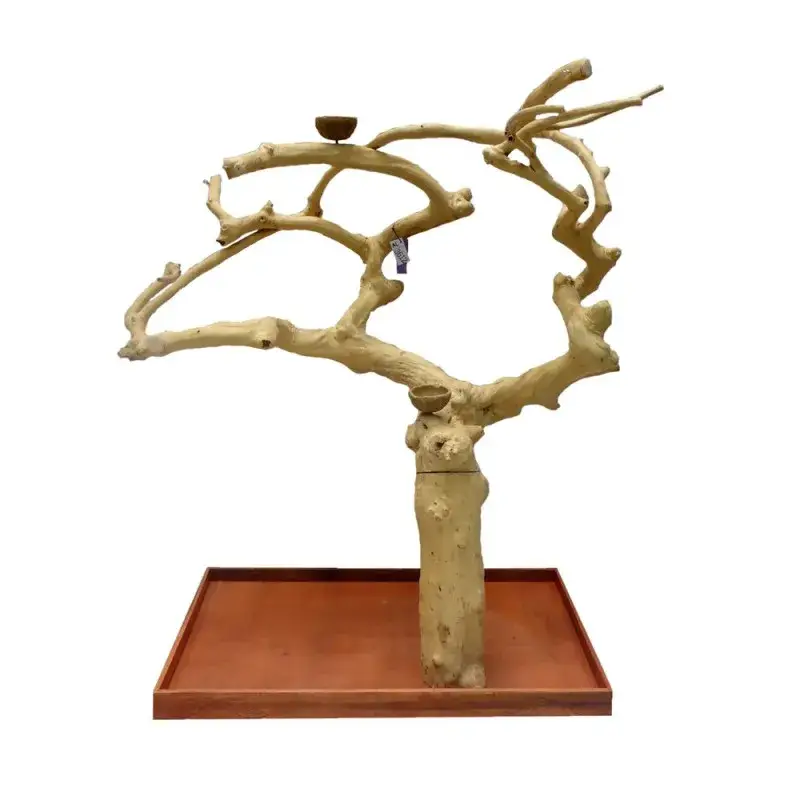 Arbre en Bois Java – Taille Extra Large – AL3612 Bon Plan
