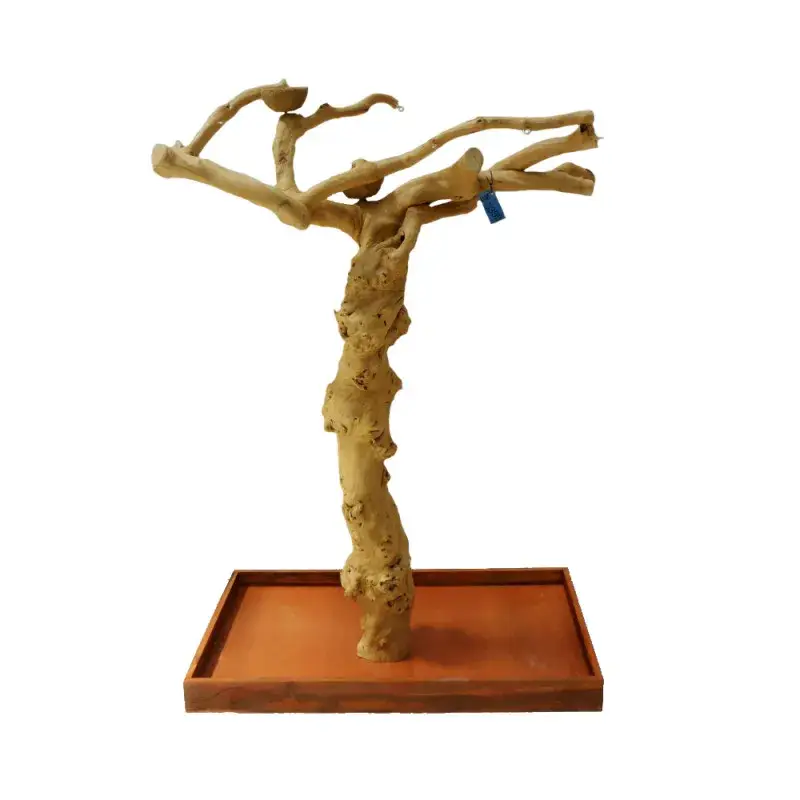 Promotion Arbre en Bois de Java – Taille Medium – BM 5399