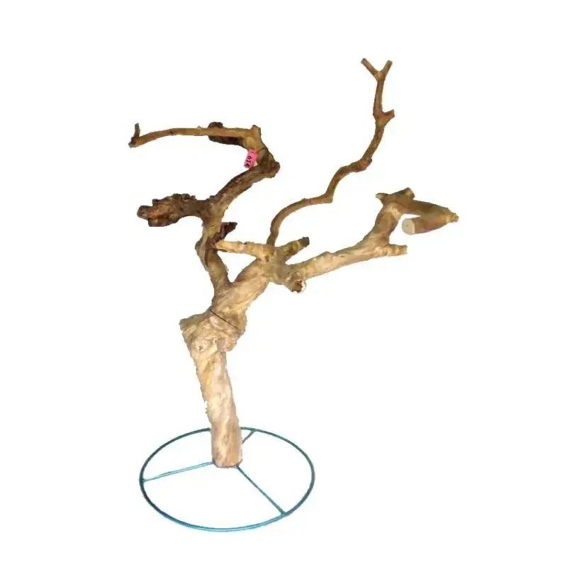 Arbre en Bois de Java sur Pied Métallique – Extra Large – DT614XL Bon Plan