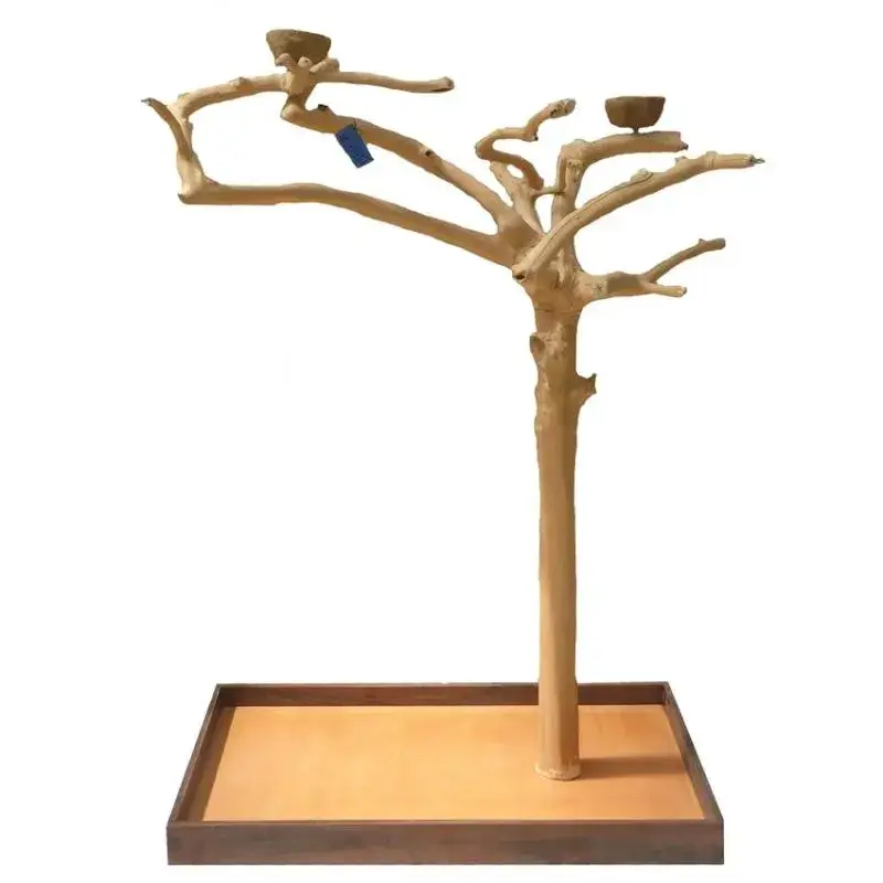 Prix Cassé Arbre en Bois de Java – Taille Large – BL6617