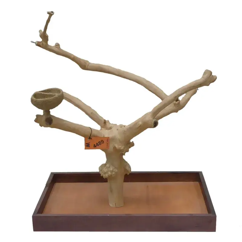 Parc de Table en Bois de Java Medium – M4489 Meilleur Choix