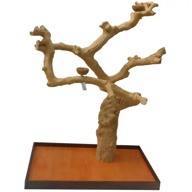 Arbre en Bois Java – Taille Extra Large – AL3720 Offre Limitée