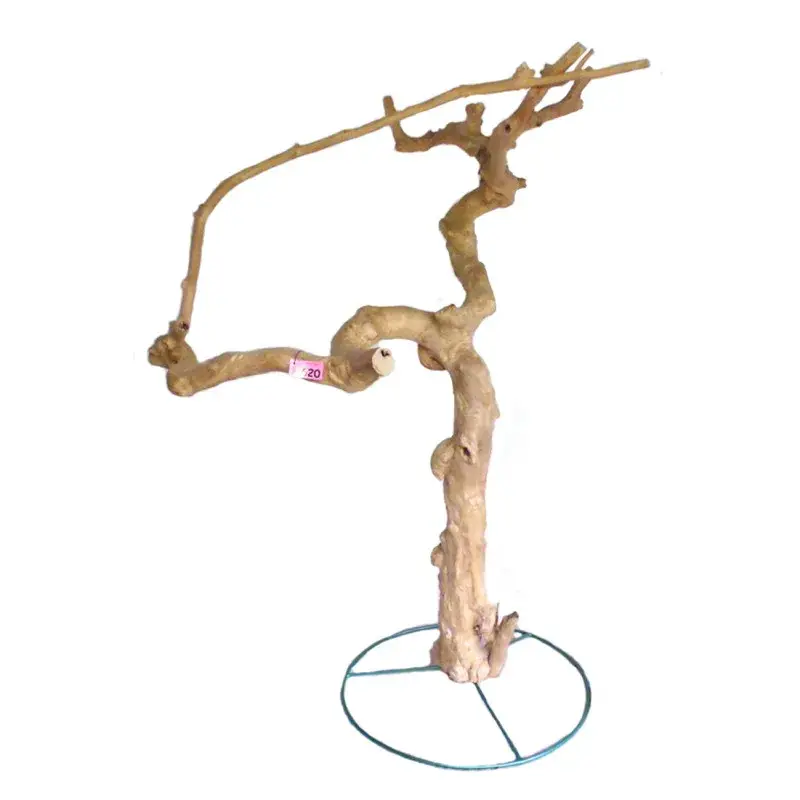 Vente Flash Arbre en Bois de Java sur Pied Métallique – Extra Large – DT620