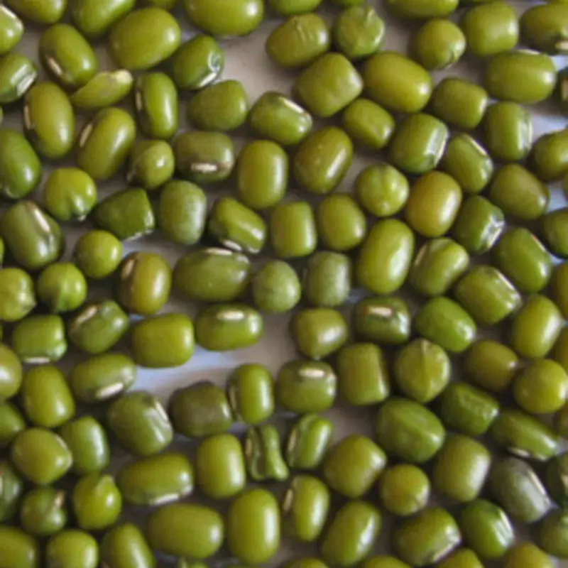 Fève de Soja Vert (Graine de Katjang Idjoe) – Détail 1 kg Seulement Aujourd&rsquo;hui