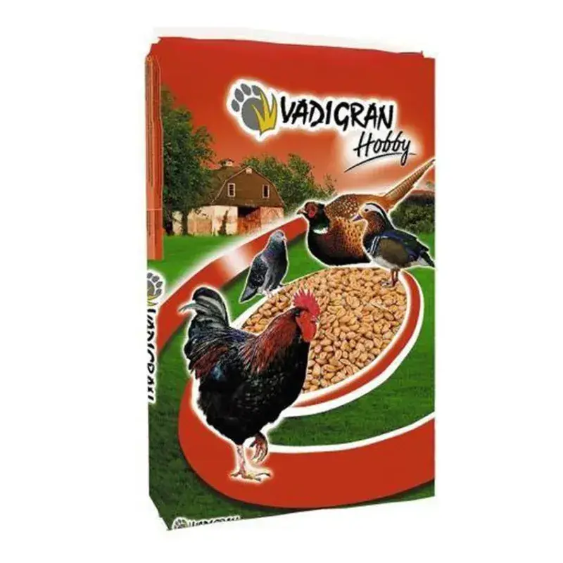 Achat Immédiat Grains de Blé – 20 kg