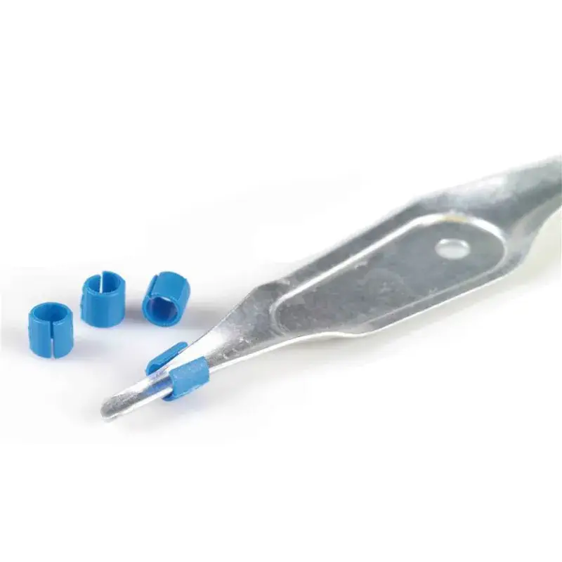 Commander Vite 100 Bagues Celluloid en Plastique pour Canaris Ø 3 mm