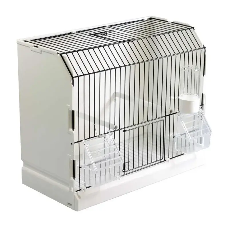 Cage d&rsquo;Exposition en Plastique et Grille Noire – 3 portes Offre Du Jour