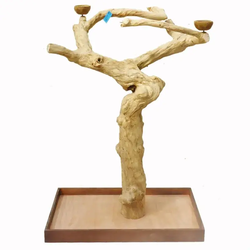 Acheter En Ligne Arbre en Bois de Java – Taille Large – BL 6296