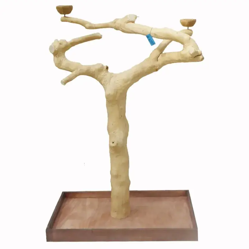Commander Maintenant Arbre en Bois de Java – Taille Large – BL 6304