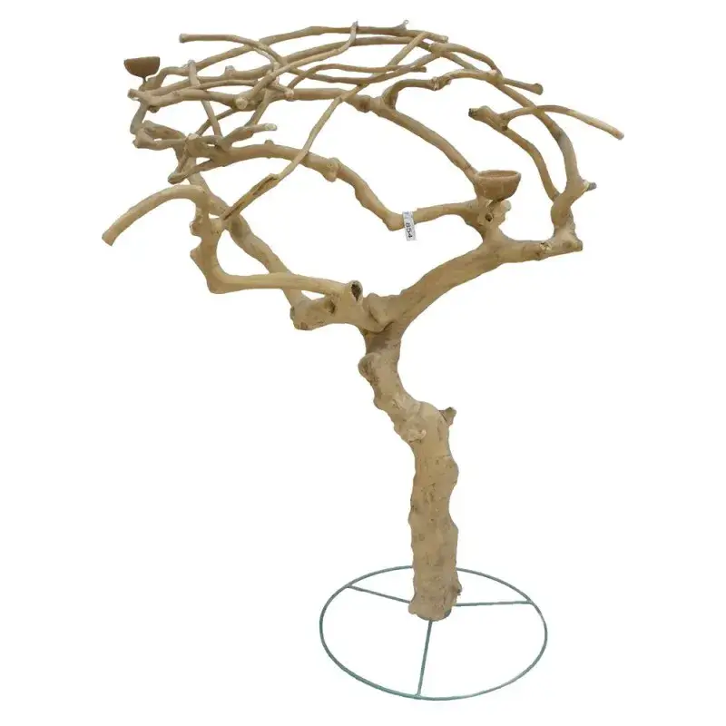 Dernière Chance Arbre en Bois de Java sur Pied Métallique – Extra Large – DT 854