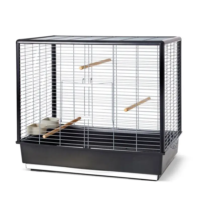 Savic – Cage Oiseaux – Noah Knock Down Noir Bon Plan