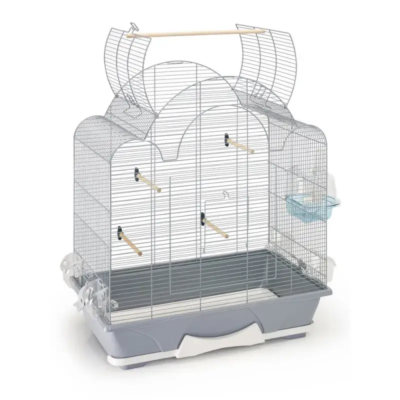 Prix Cassé Savic – Cage Oiseaux – Mélodie 50 Open Argent