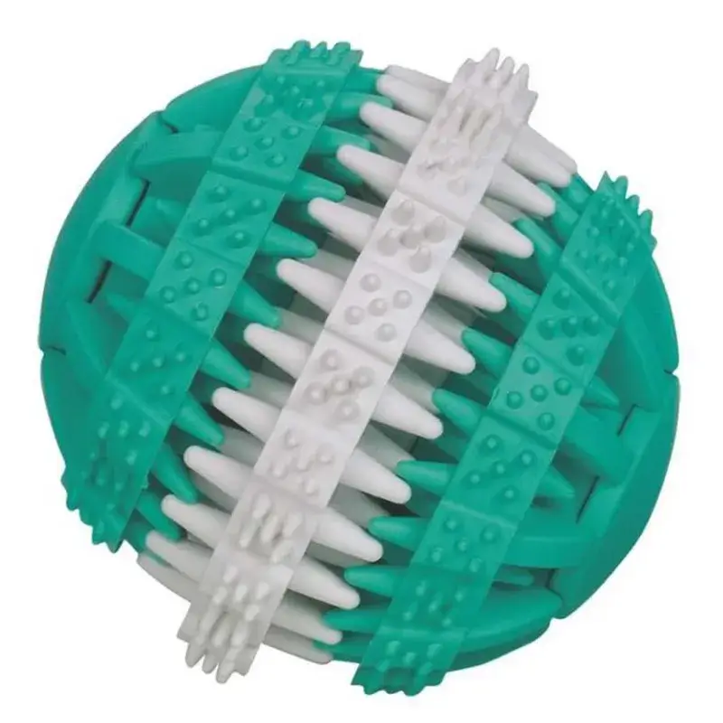 Quantité Limitée Jouet Dentaire pour Chien – Balle Dental fun Goût Menthe – 15 cm