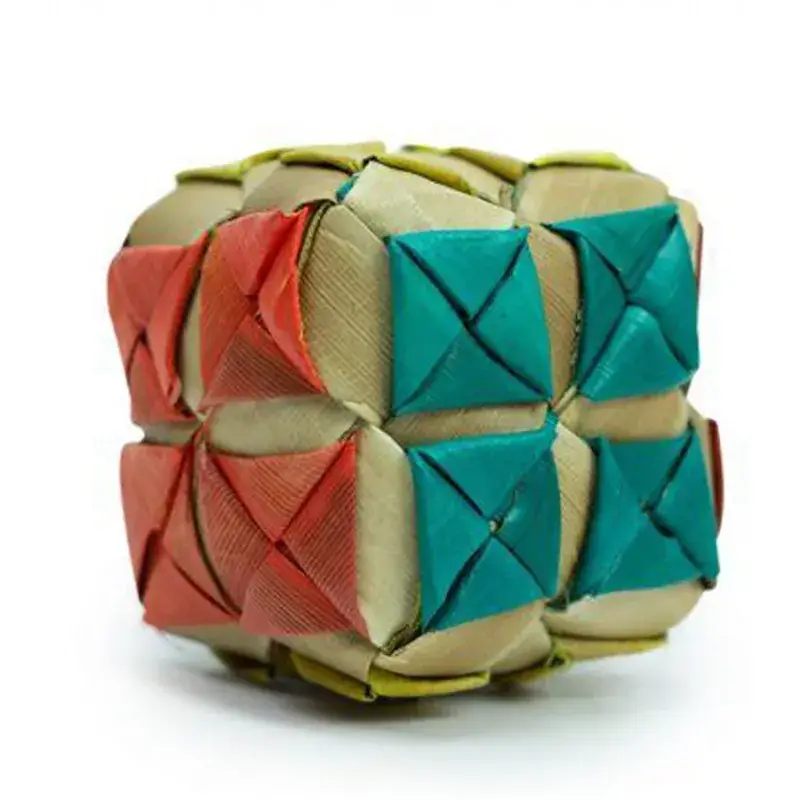 Pat le Cube – Jouet de Patte pour Perroquet Livraison Express
