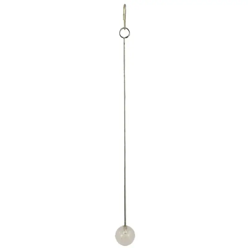 Achat Immédiat Brochette en Inox pour Nourriture ou Jouets – 34 cm