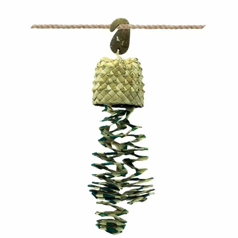 Anapiñata Small – Jouet Perruche Marque