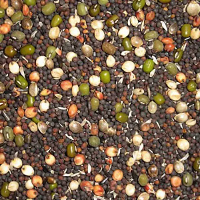 Versele Laga – Mélange de Graines à Germer pour Canaris – Détail 1 kg Bon Plan