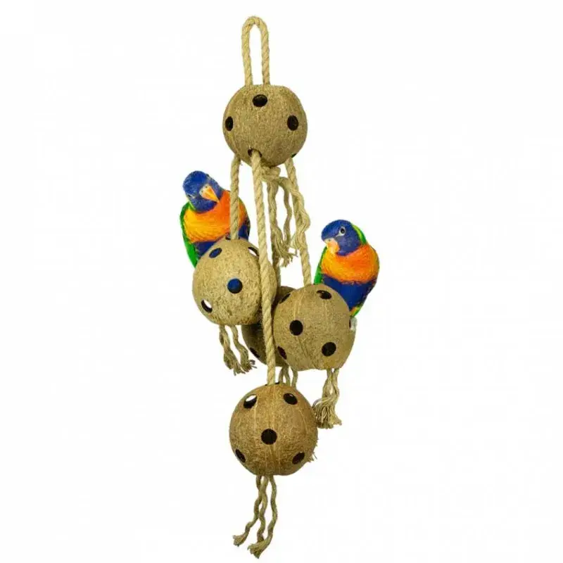 Top Vente Coconut Chain – XL