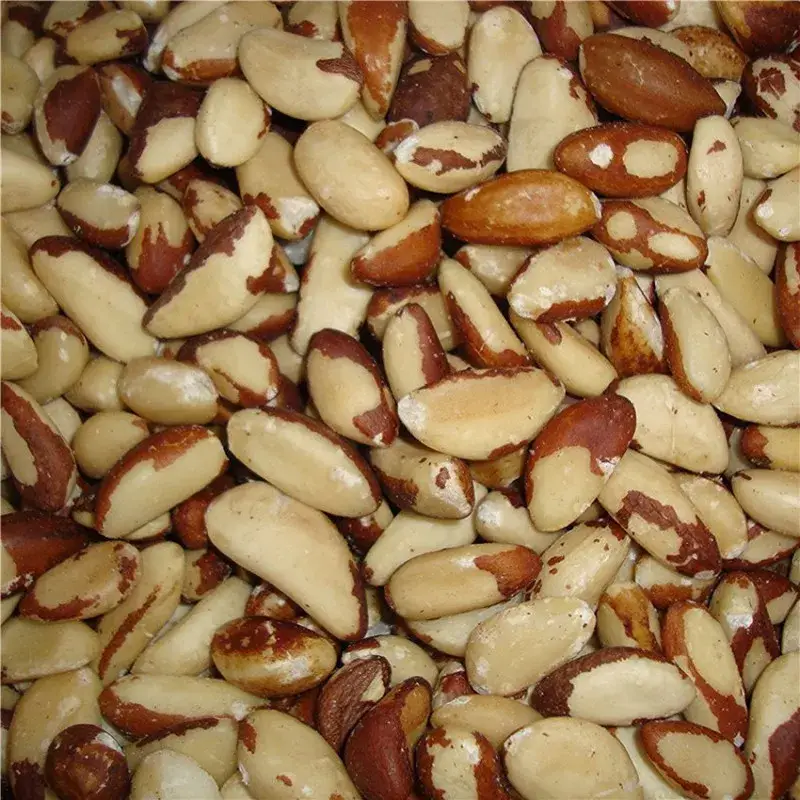Produit De Marque Noix du Brésil Ecalée – 200 gr