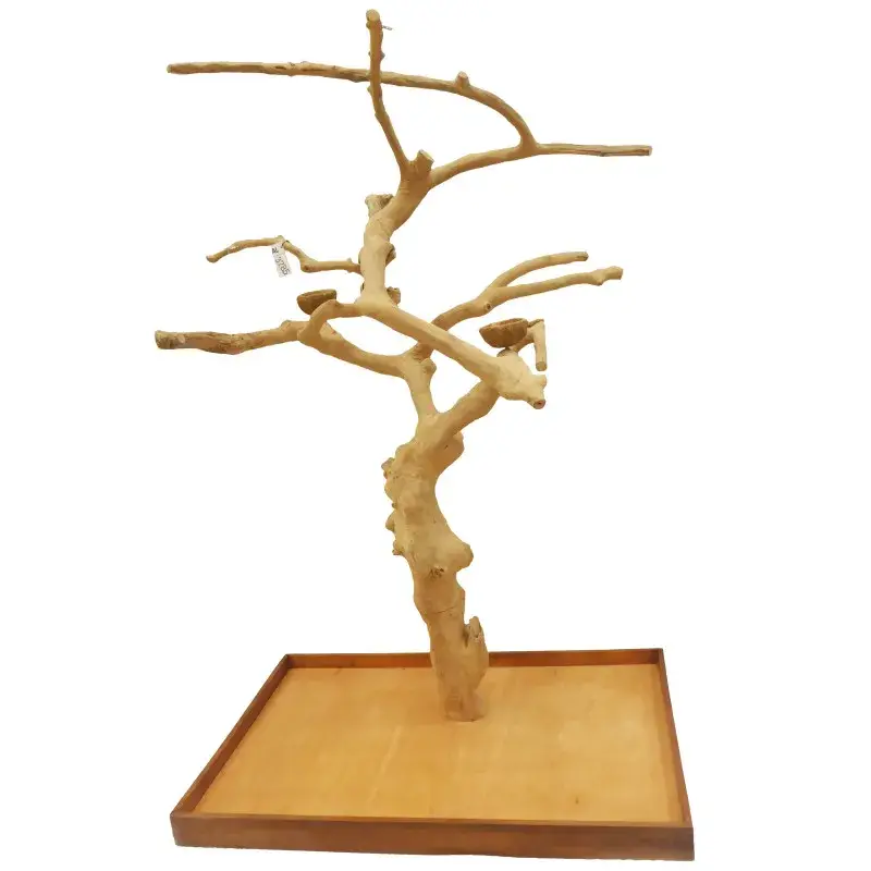 Arbre en Bois Java – Taille Extra Large – AL 3785 Achetez Aujourd&rsquo;hui