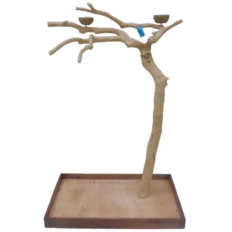 Prix Cassé Arbre en Bois de Java – Taille Large – BL 6660
