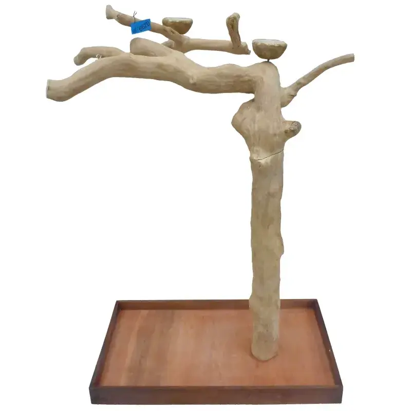 Arbre en Bois de Java – Taille Large – BL 6670 Offre Exclusive