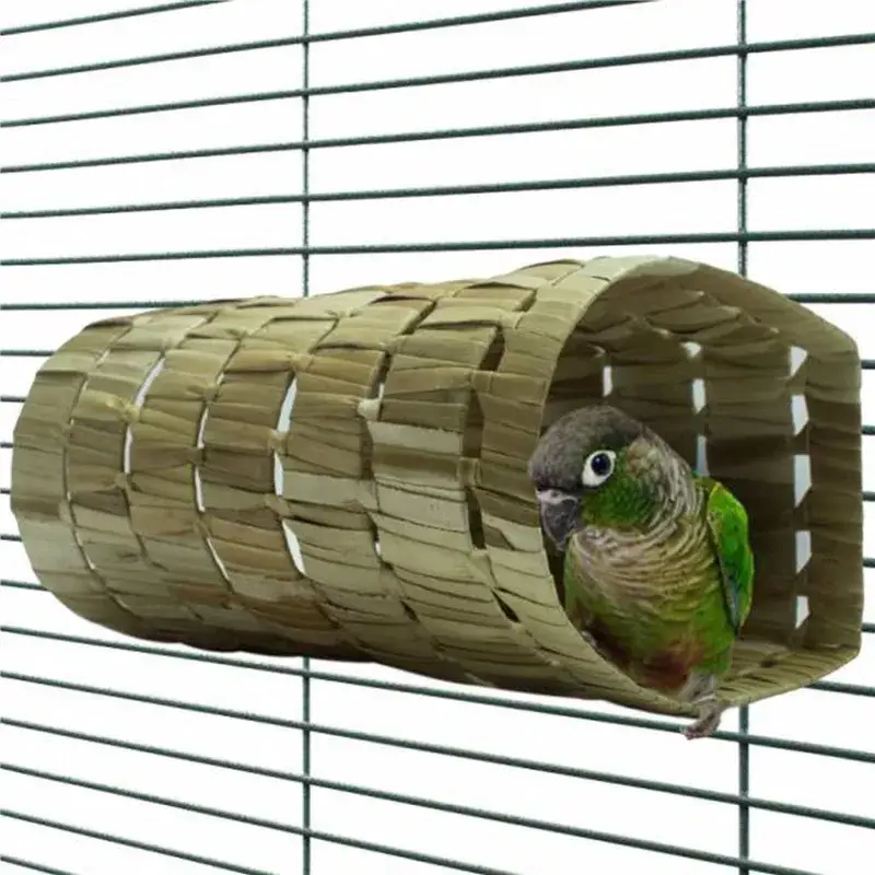 Top Vente Natural Tube Large – Jouet Cachette Petit Perroquet