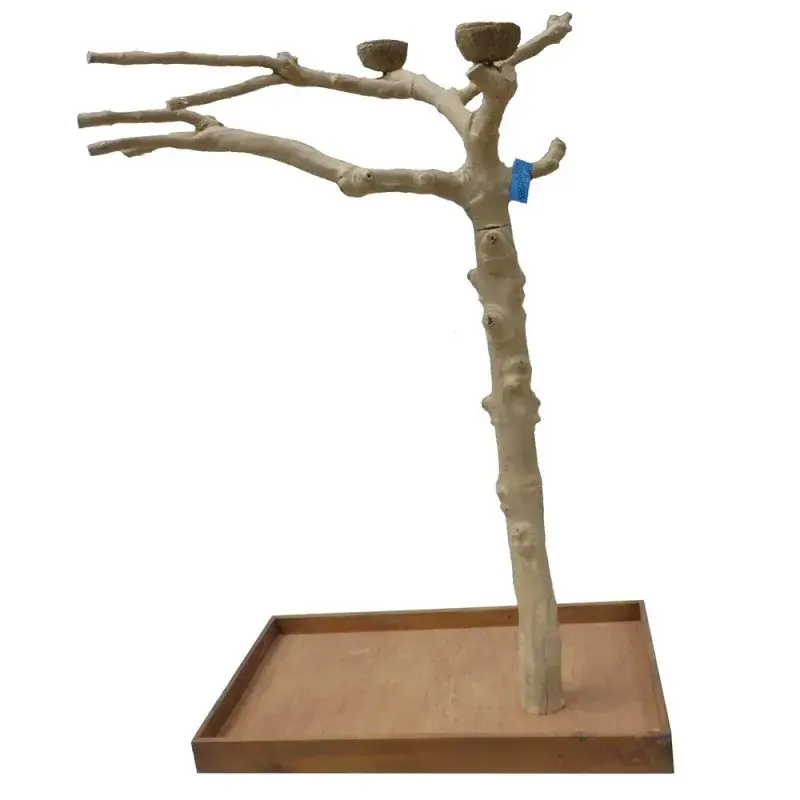 Prix Promo Arbre en Bois de Java – Taille Large – BL 60783