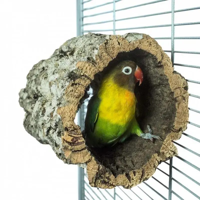 Quantité Limitée Tunneliège Small – Tunnel en Liège pour Oiseaux