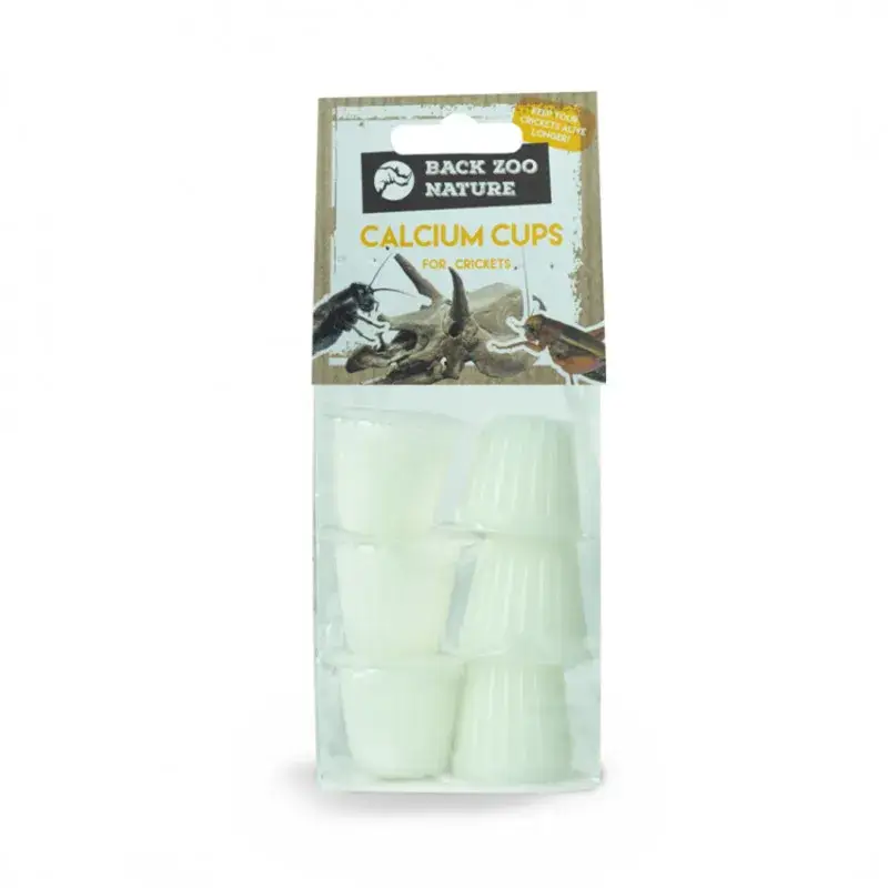 Offre Du Jour Fruit Cups – Gelée au Calcium pour Grillons et Crickets – 6 pcs