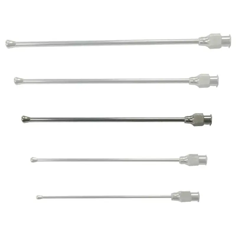 Commander Vite Sonde de Nourrissage en Inox Droite 116 mm pour Petits Perroquets – Ø 2 mm