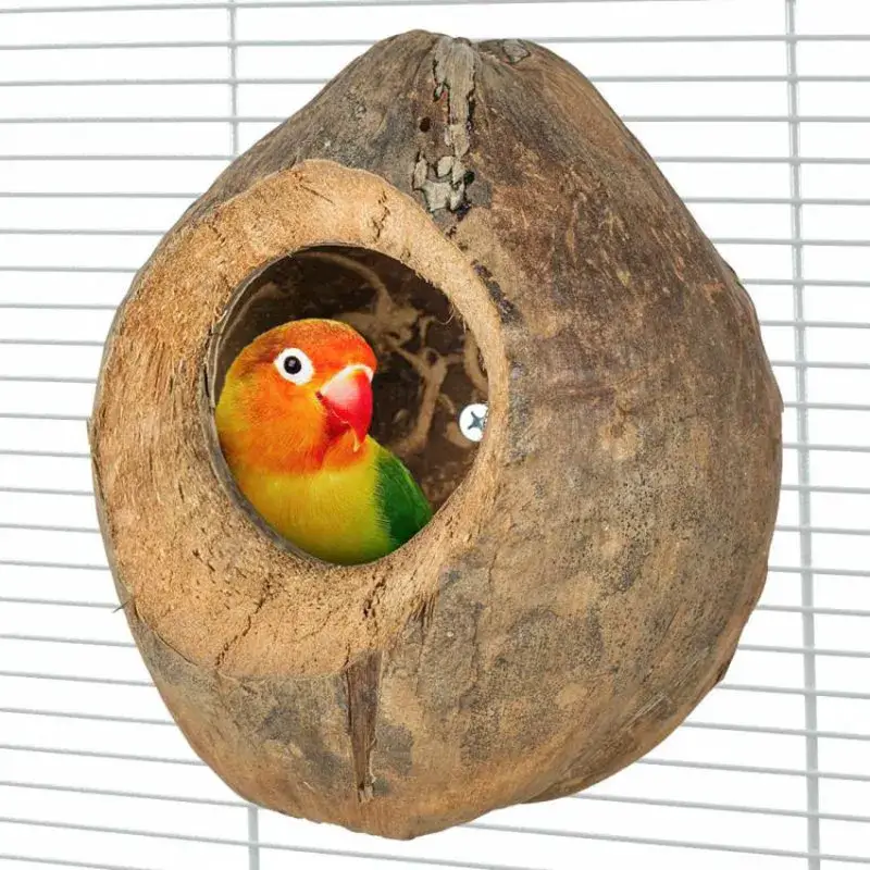 Commande En Gros Villa Coconut – Jouet Perruche