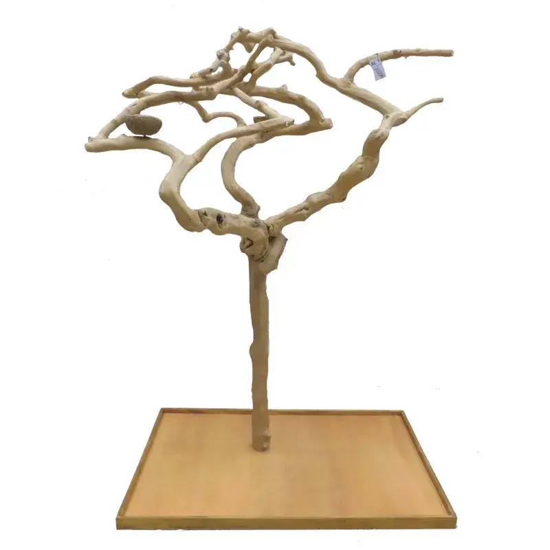 Certifié Arbre en Bois Java – Taille Extra Large – AL30296